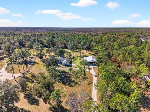 Photo of 7420 SE 117th Terrace, Morriston, FL 32668 (MLS # O6363430)