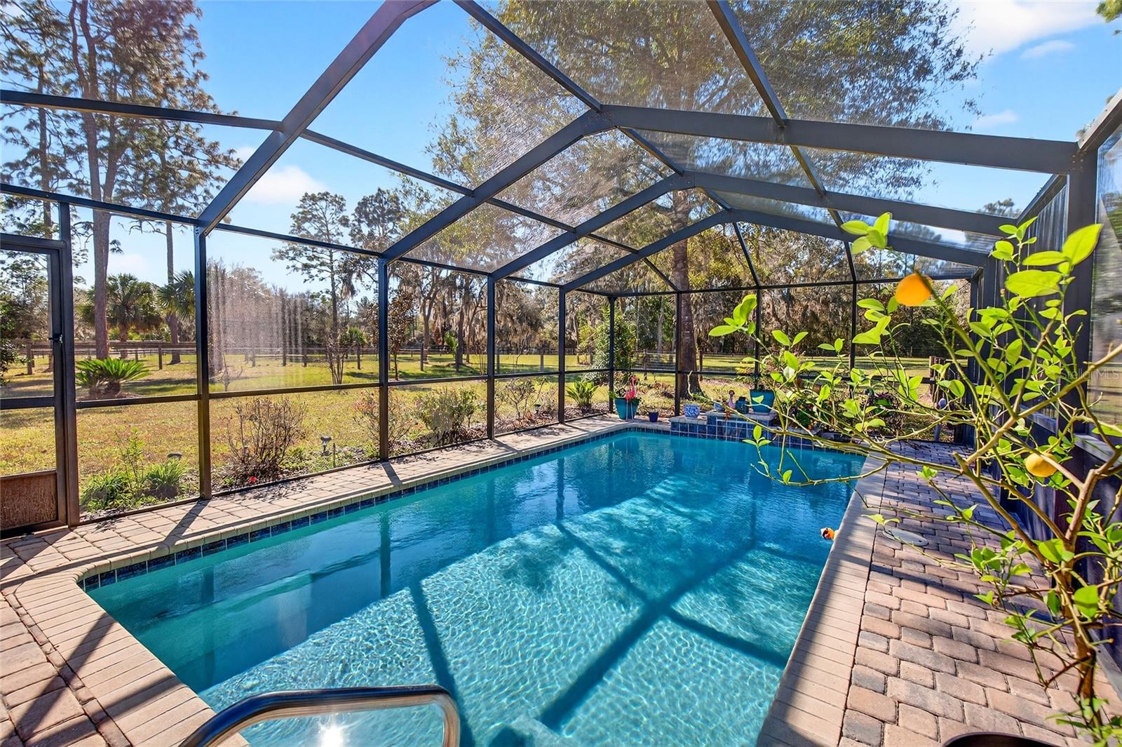 FOX GROVE FARMS - Residential