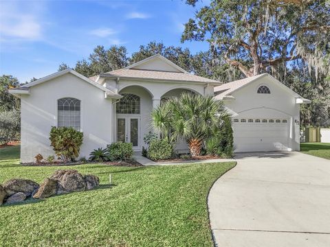 Photo of 5 River Oaks Way, Palm Coast, FL 32137 (MLS # FC315691)