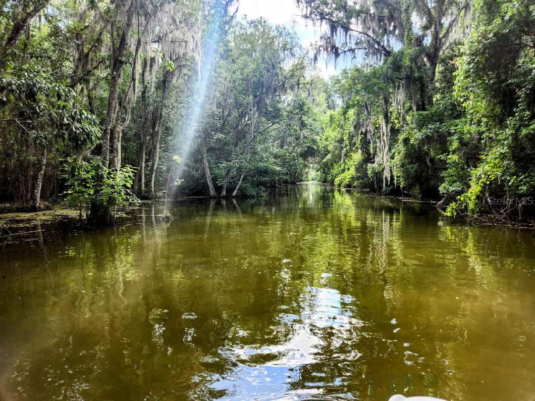 Discover a perfect opportunity to own this beautiful land with access to the lakes. Build your dream home. It’s .41 of an acre that has a freshwater canal that then opens up to LAKE EUSTIS and THE HARRIS CHAIN OF LAKES. This land is classified as R-6 which means you can build a modular, mobile, or block home. You are also in the center of all sorts of entertainment…If you want to head over to the villages, you’re close to Brownwood paddock Square, or you can head over to SEA PLANE CAPITAL PARK in Tavares, or hit the Venetian garden in Leesburg. You are also close to hospitals, shopping and dining. Don’t miss out on this opportunity.