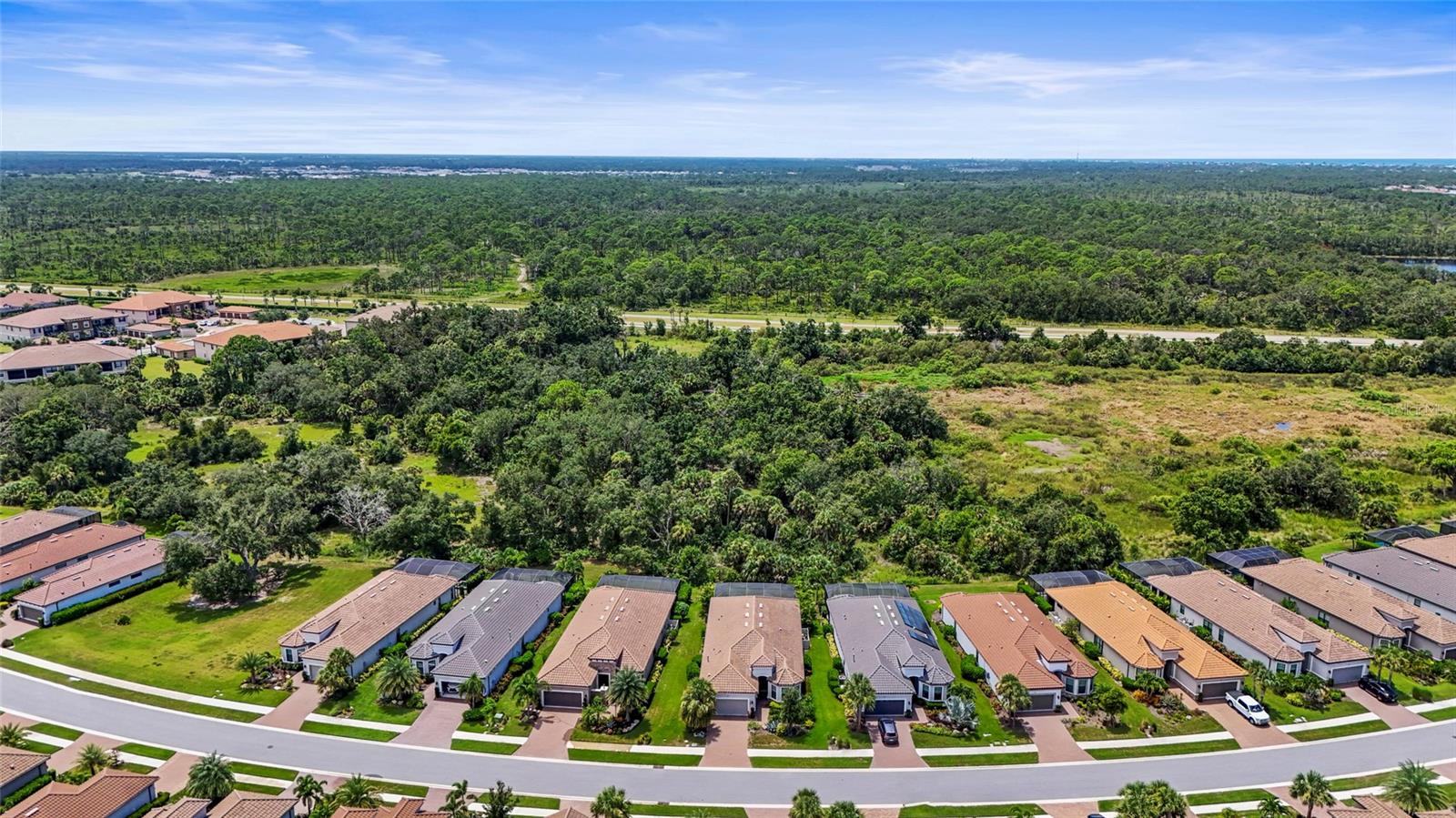 ESPLANADE ON PALMER RANCH - Residential