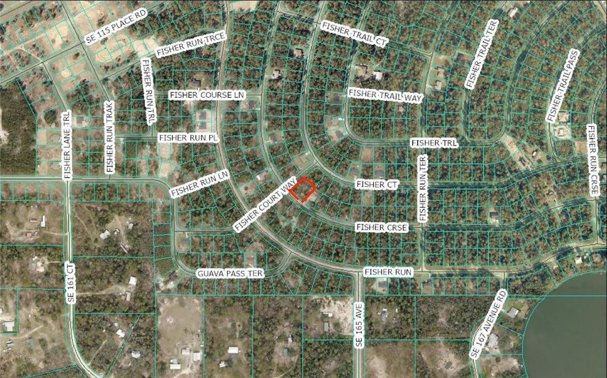 Seller will pay closing costs...No HOA…Situated between Lake Weir and the Ocklawaha River, you'll find this .49 acres is amongst many large and small bodies of water providing lots of outdoor activities and offering a quiet country setting. Area of new and existing construction - homes only. Just a short commute to Summerfield, The Villages, and the Ocala National Forest.