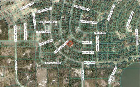 FISHER COURSE OCKLAWAHA FL 32183