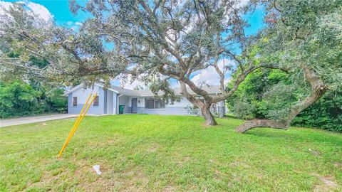 A home in DELTONA