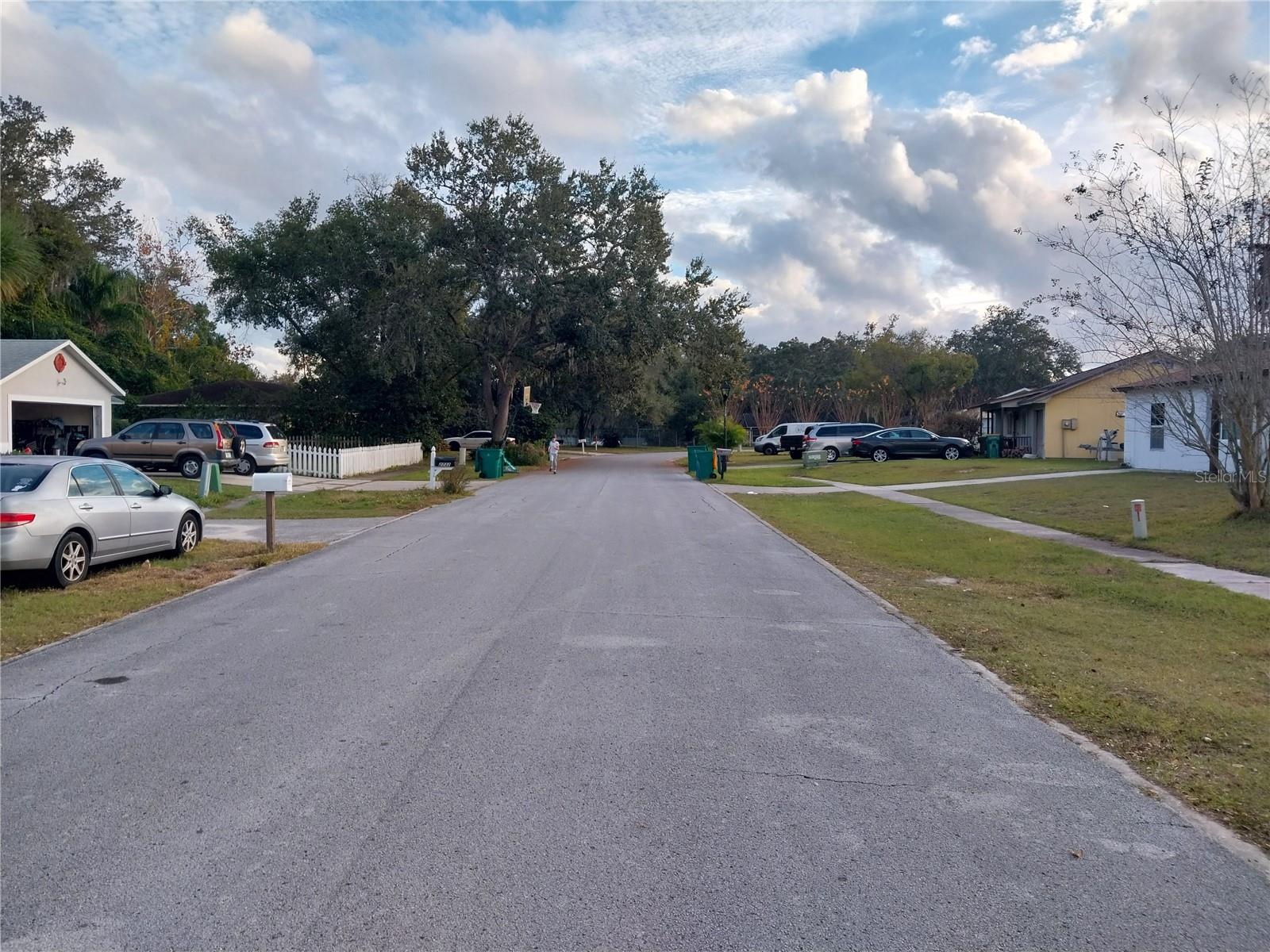 EUSTIS LAKE JOANNA HEIGHTS - Residential