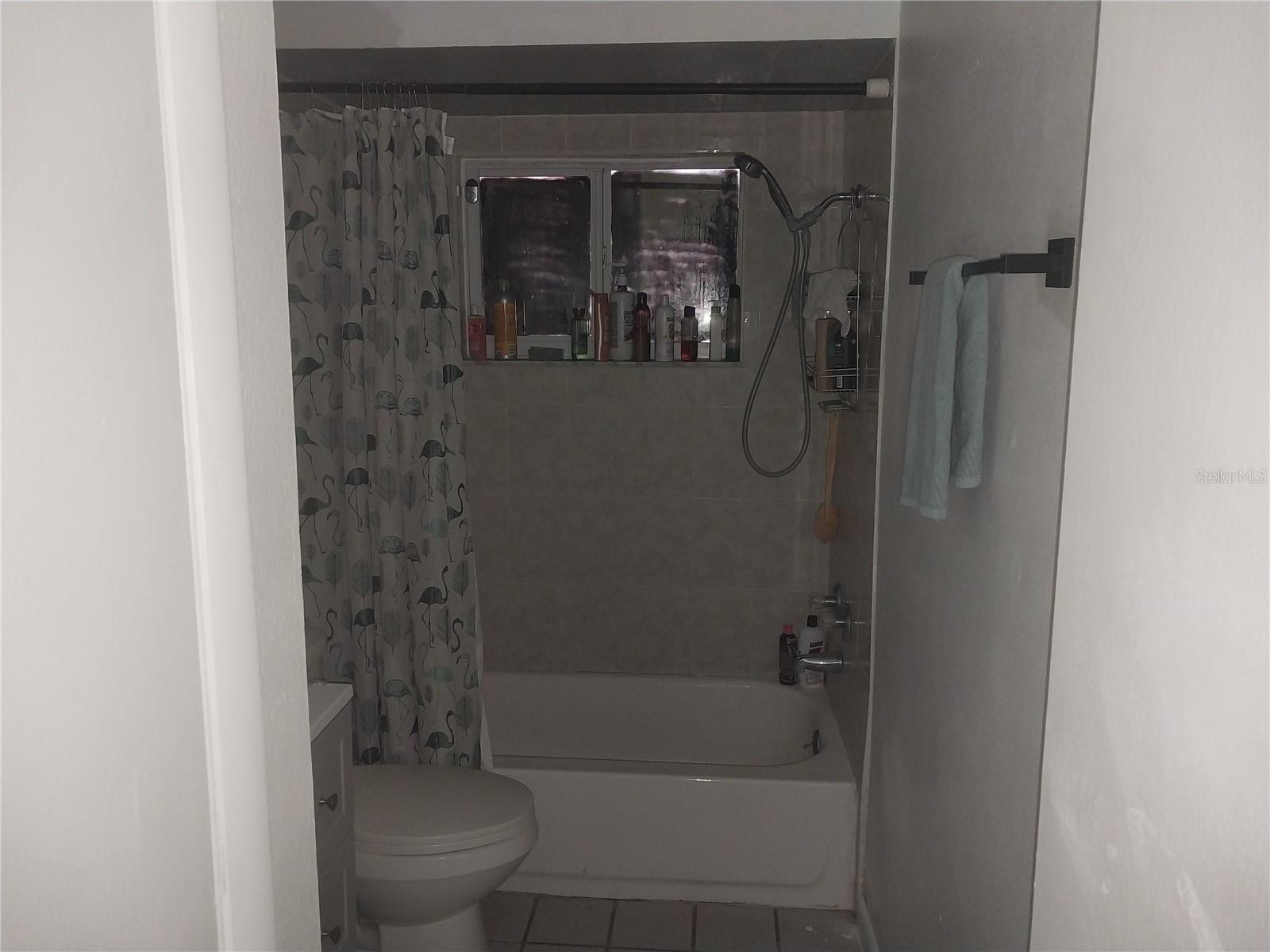 EUSTIS LAKE JOANNA HEIGHTS - Residential