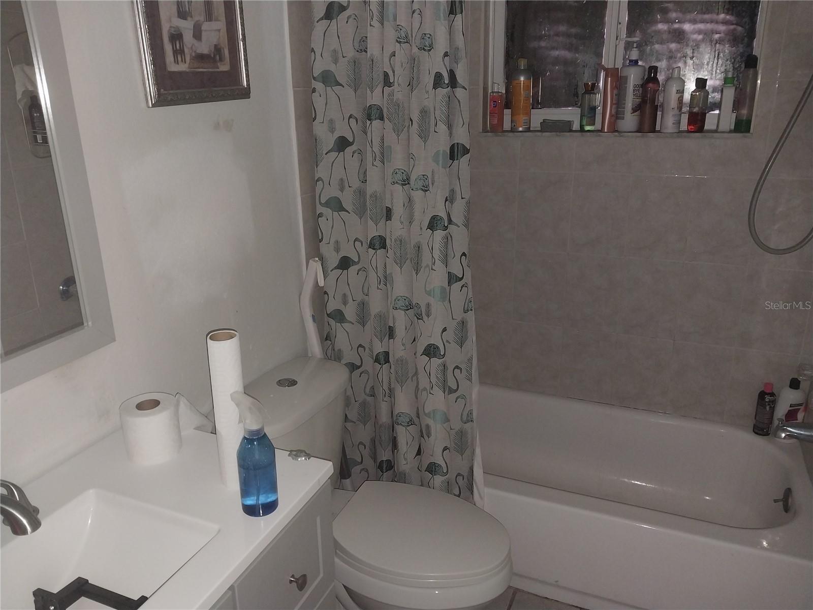 EUSTIS LAKE JOANNA HEIGHTS - Residential