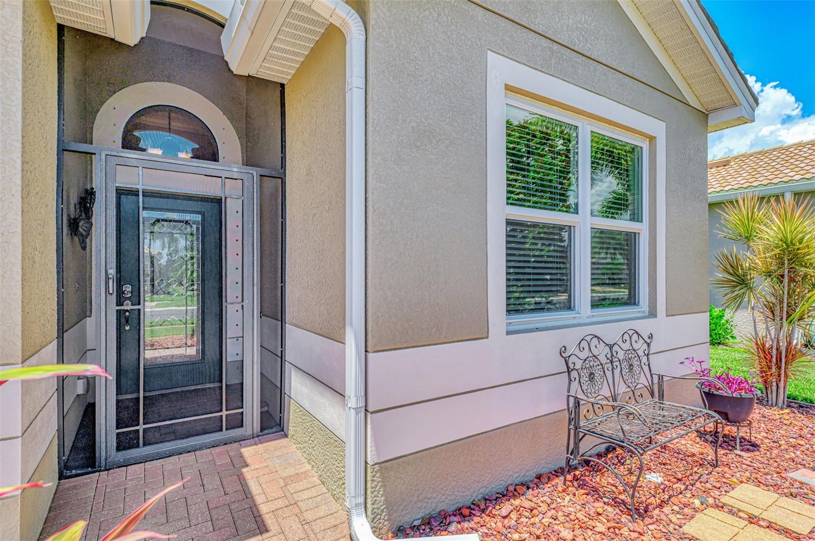 11644 SPOTTED MARGAY AVENUE