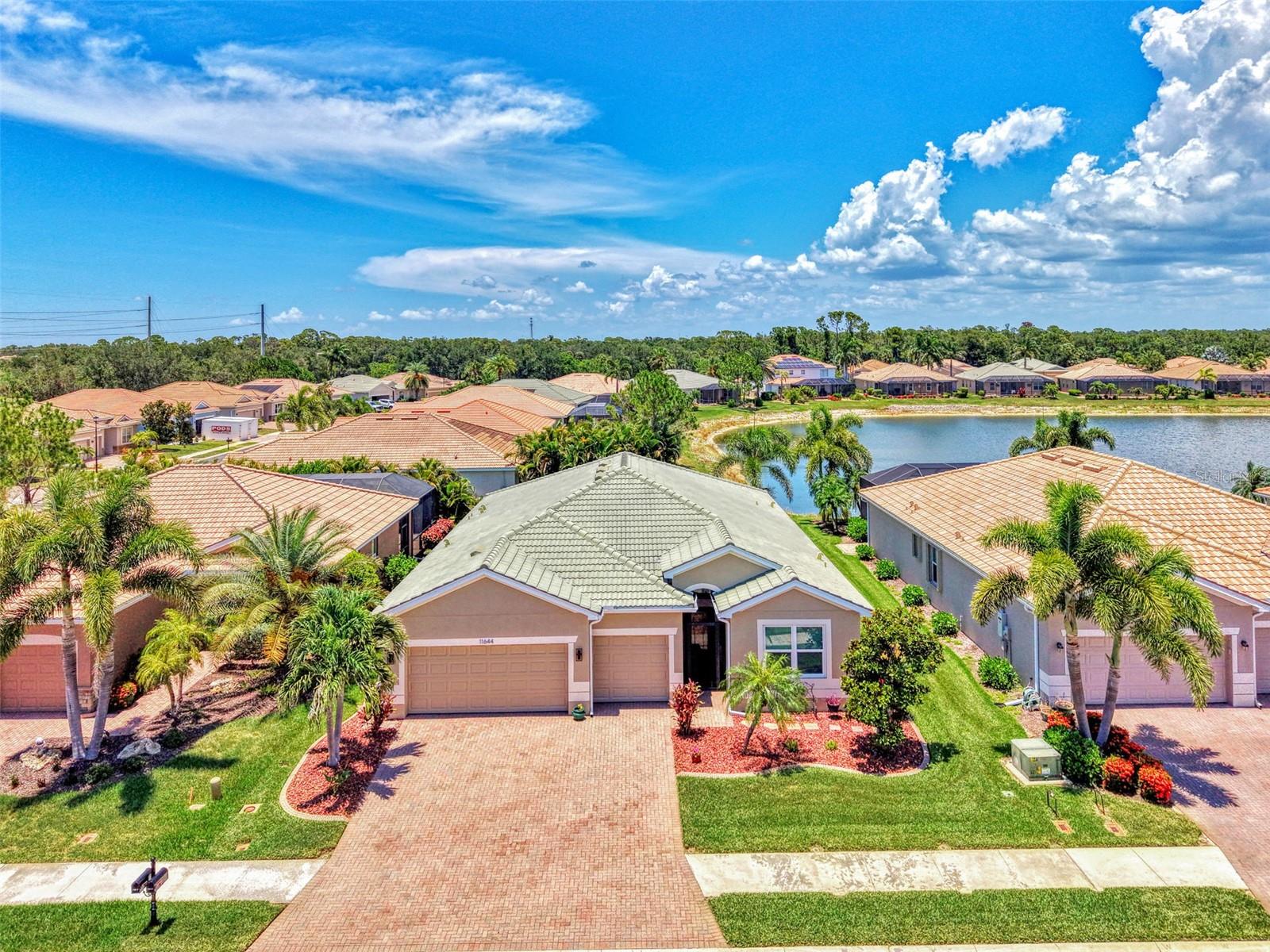 11644 SPOTTED MARGAY AVENUE