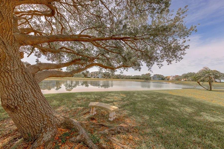 POINTE ALEXIS NORTH PH II - Residential