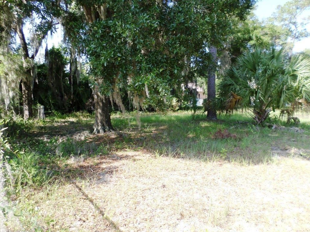 Photo of 00 Blue Heron Ct, Dunnellon, FL 34432 (MLS # OM679697)