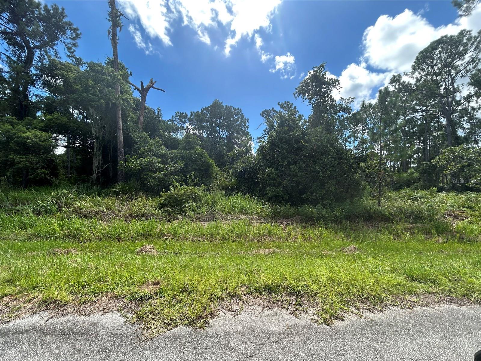 5 buildable lots in Sun N Lake of Sebring- all next to each other. Power on the street. Lots require well and septic. Growing community with lots to offer to it's residents. 36 holes of championship golf, community pool and playground, disc golf,2dog parks, tennis and pickleball courts, nature preserve, miles of roads to explore. Close to medical and shopping with some great restaurants just a short drive away.**all 5 lots to be sold together $100,000** 4 additional lots on same street that are cleared are also for sale.
