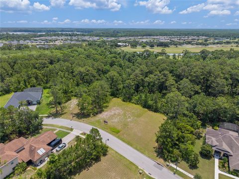 7145 OAK GLEN TRAIL HARMONY FL 34773