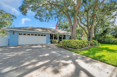 A home in PINELLAS PARK