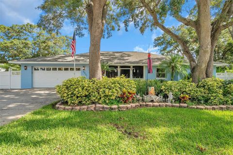 A home in PINELLAS PARK