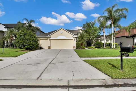 26451 SHOREGRASS DRIVE WESLEY CHAPEL FL 33544