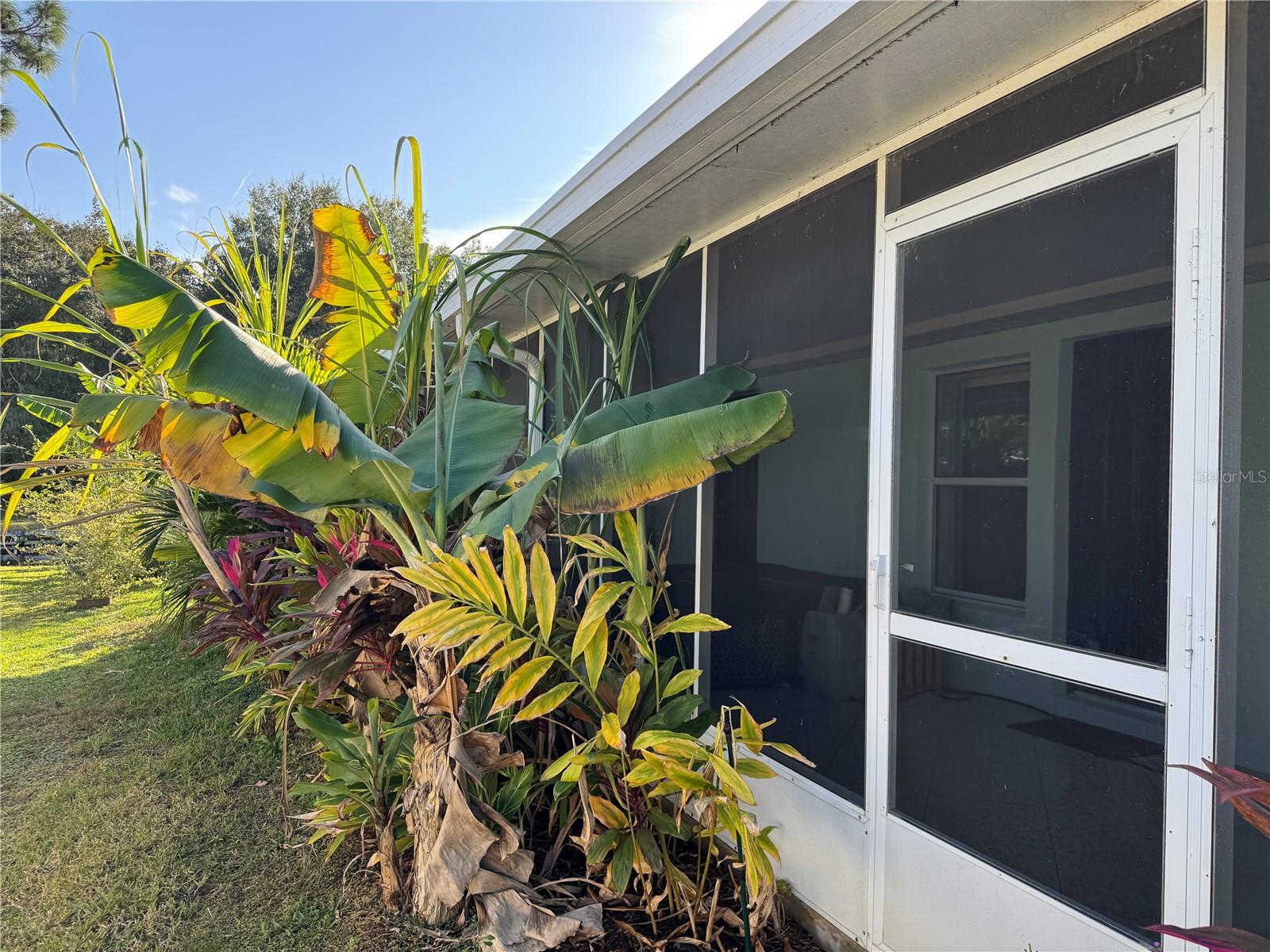 WESTERN SHORES - Residential