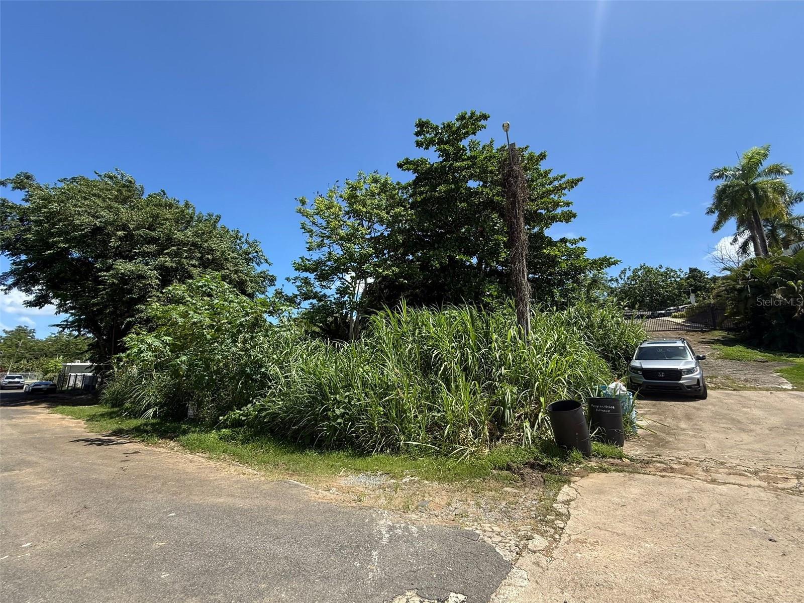 Main image without alt text