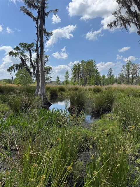 Tiny photo for 8335 Florida Boys Ranch Road, Groveland, FL 34736 (MLS # O6377644)
