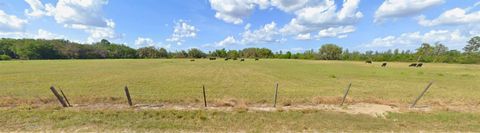 Tiny photo for 8335 Florida Boys Ranch Road, Groveland, FL 34736 (MLS # O6377644)