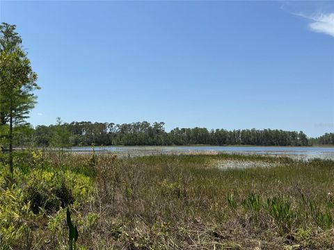 Tiny photo for 8335 Florida Boys Ranch Road, Groveland, FL 34736 (MLS # O6377644)