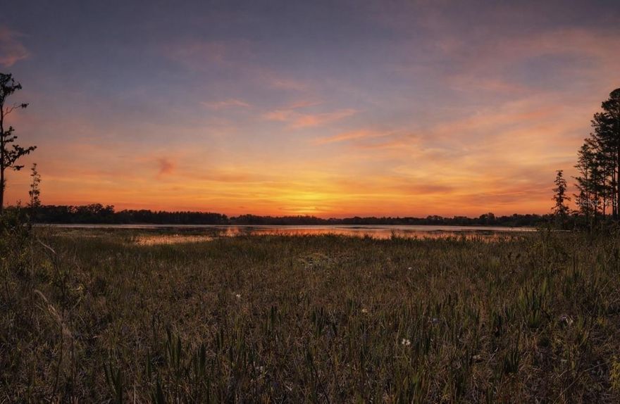 Rare opportunity to own 159 acres on Pine Island Lake, a 420-acre private lake, in the heart of the Green Swamp in Groveland, Lake County. This exceptional Old Florida property includes approximately 88 acres of open buildable pasture, a 2-acre agricultural homesite, 46 acres of wetlands, and 22 acres of submerged land, offering an ideal balance of usable land and natural preservation. Of the 88 buildable acres, one unit per 10 acres is approved for new construction. Higher denisty may be applied for with Lake County. The property includes a 1,240 square foot block-construction office, providing immediate functionality for agricultural, ranch, or management use. Featuring an impressive 2,650 feet of lake frontage, the property offers expansive water views, abundant wildlife, and breathtaking sunset vistas. Pine Island Lake is known for excellent water quality compared to other pristine waterways in the area. Natural boundary features enhance privacy, creating a secluded and peaceful setting. Formerly cattle land and accessible from two separate roads, this versatile tract is well suited for a private estate, ranch, recreational retreat, or legacy investment. Surrounded by conservation lands yet within reach of Clermont and Central Florida amenities. Call for your private tour.