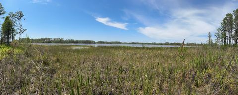 Tiny photo for 8335 Florida Boys Ranch Road, Groveland, FL 34736 (MLS # O6377644)