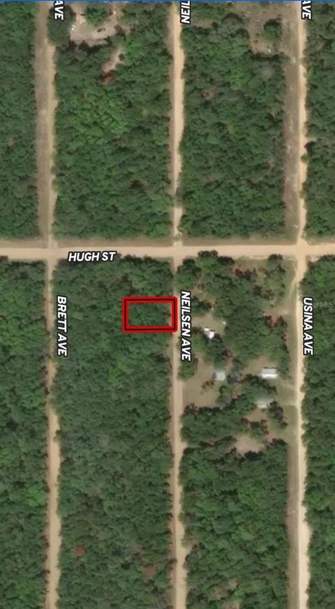 LOT 35 NEILSEN AVENUE INTERLACHEN FL 32148