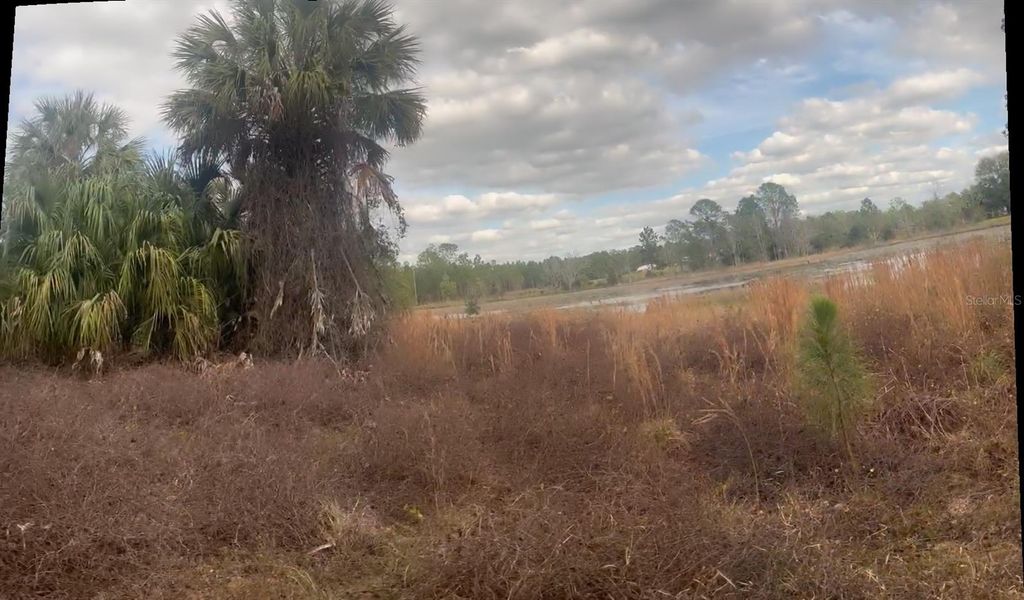 Photo of 44750 Misty Isle Drive, Deland, FL 32720 (MLS # V4946368)
