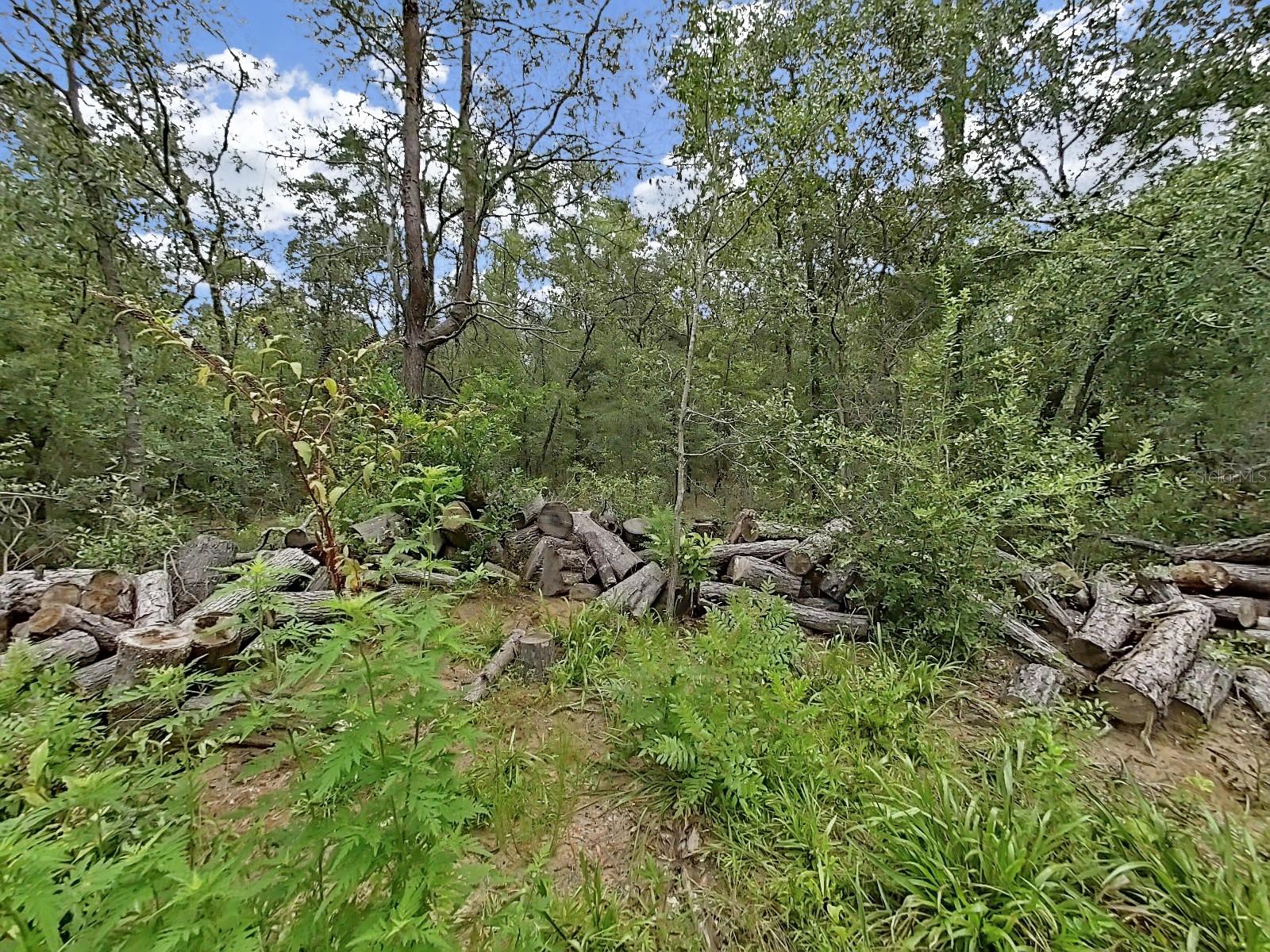 WILISTON HLNDS - Land