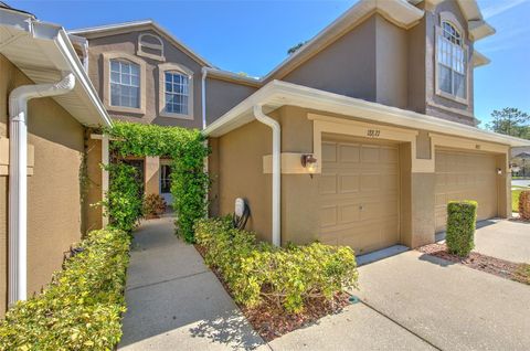 A home in TAMPA