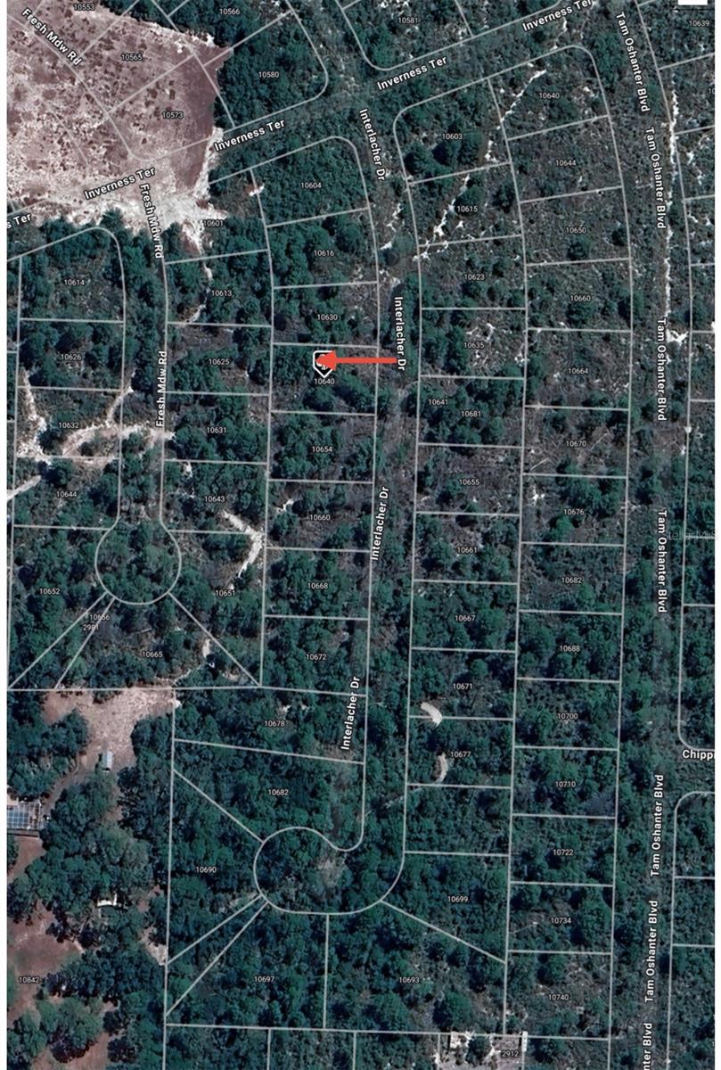 ORANGE BLOSSOM CCC - Land