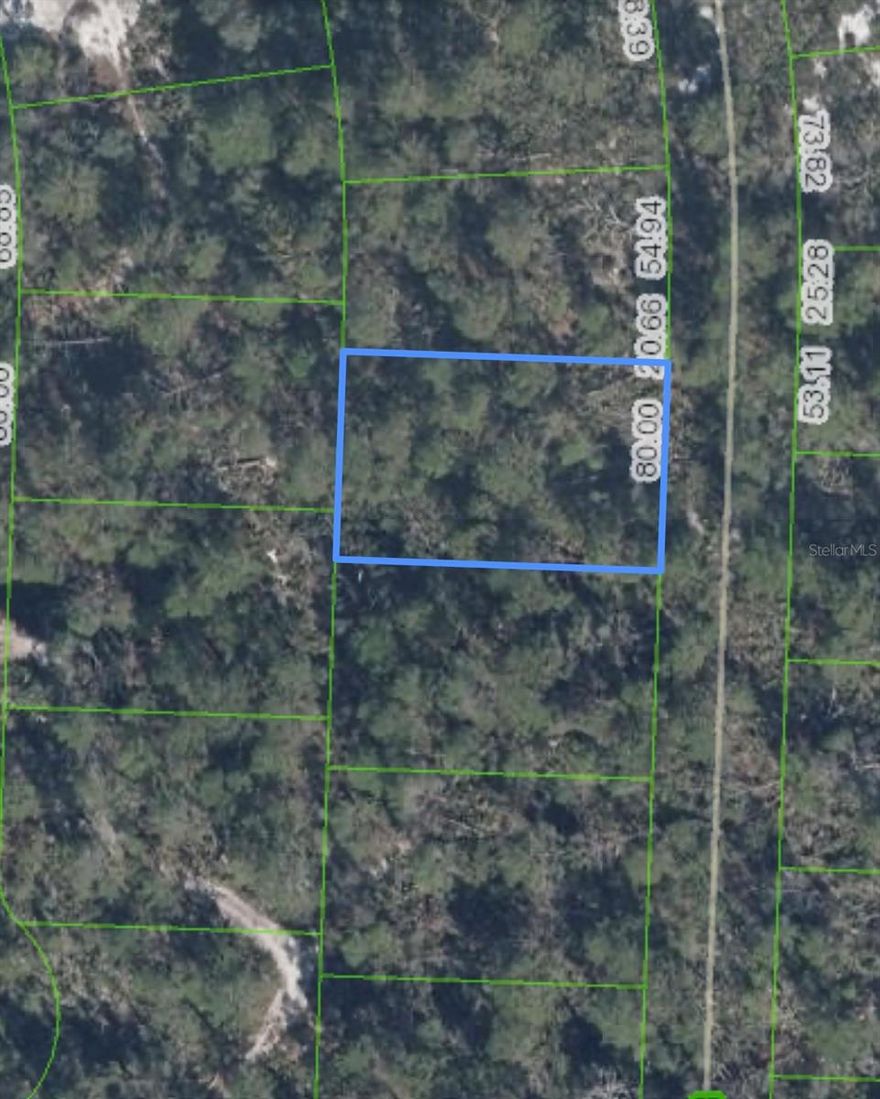 Located in SEBRING, FL, PERFECT TO BUILD YOUR DREAM HOME. ZONED R-1A, DON'T MISS OUT ON THIS GREAT INVESTMENT.