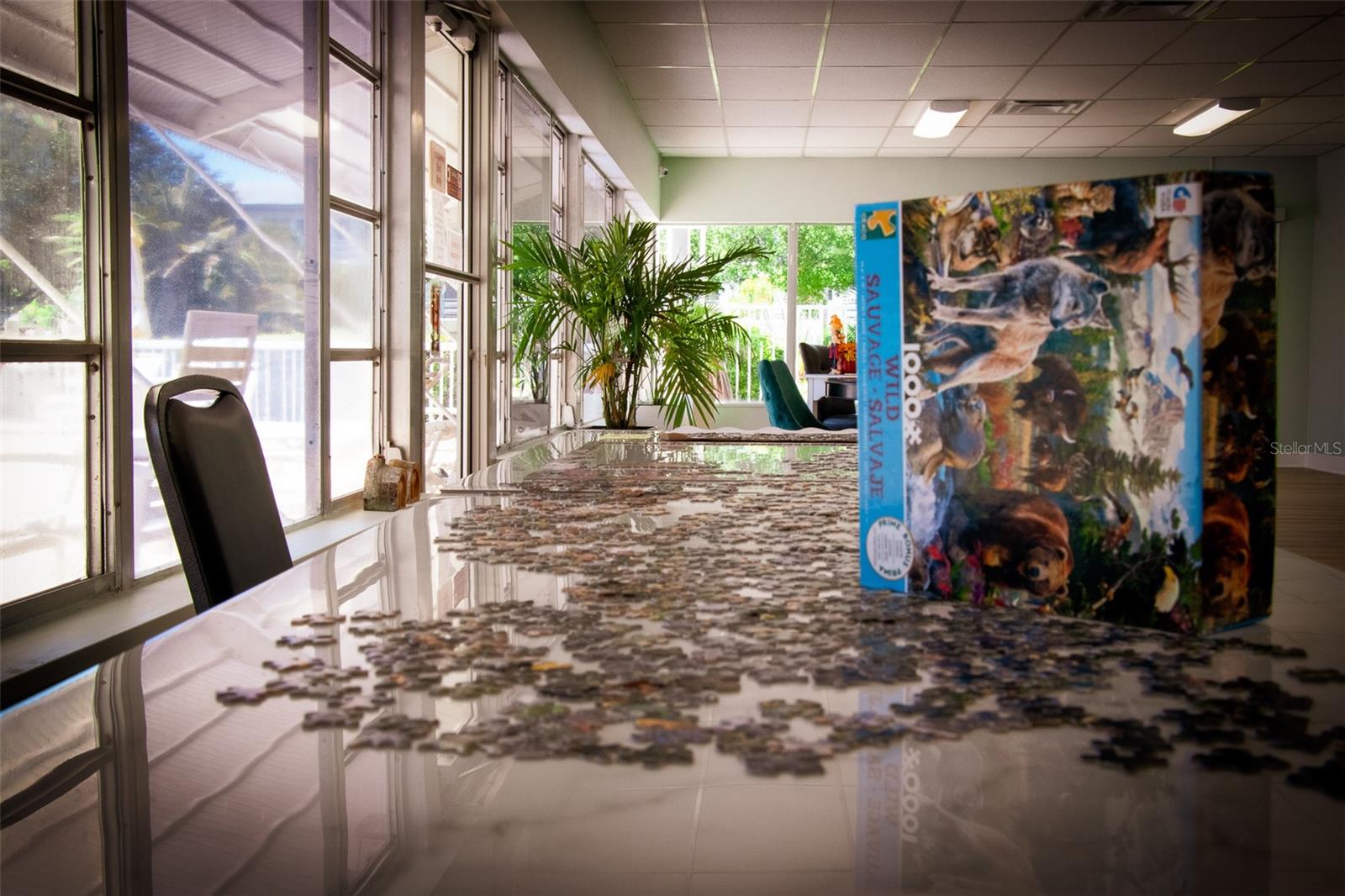 TOWN APTS CONDO - Residential