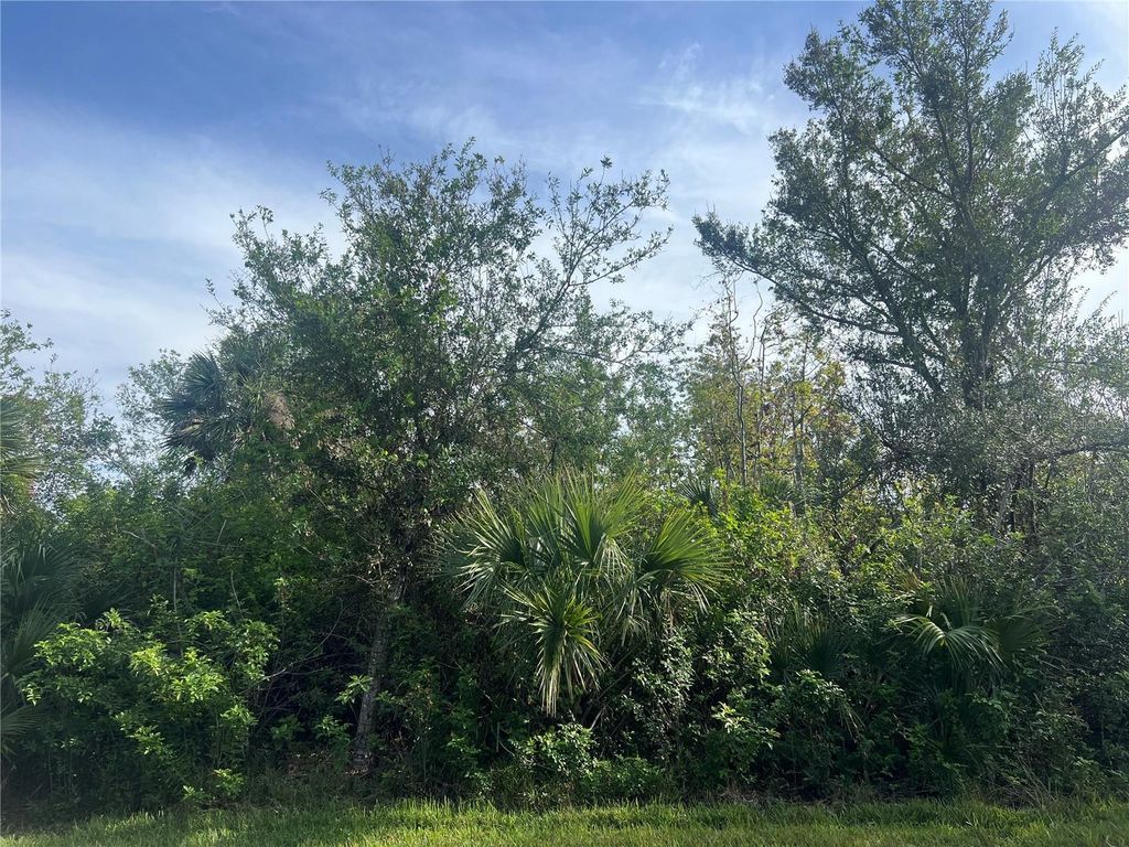 Photo of 7168 Lippman Road, Port Charlotte, FL 33981 (MLS # C7501865)