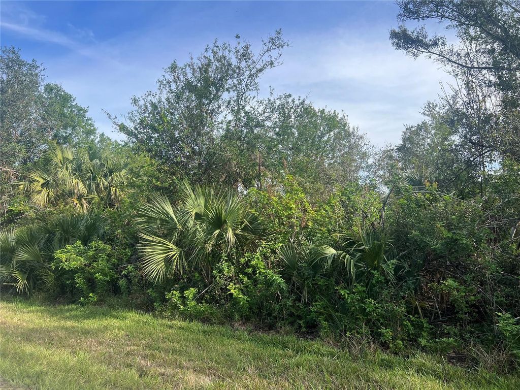 Photo of 7168 Lippman Road, Port Charlotte, FL 33981 (MLS # C7501865)