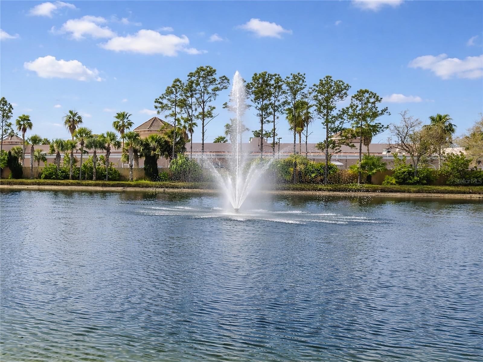 1731 AUBURN LAKES DRIVE 24