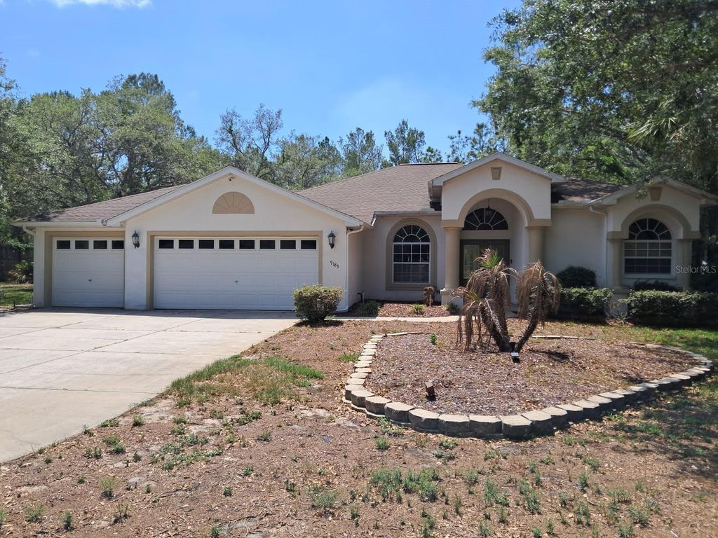 Photo of 9183 Nightingale Road, Weeki Wachee, FL 34613 (MLS # TB8508481)