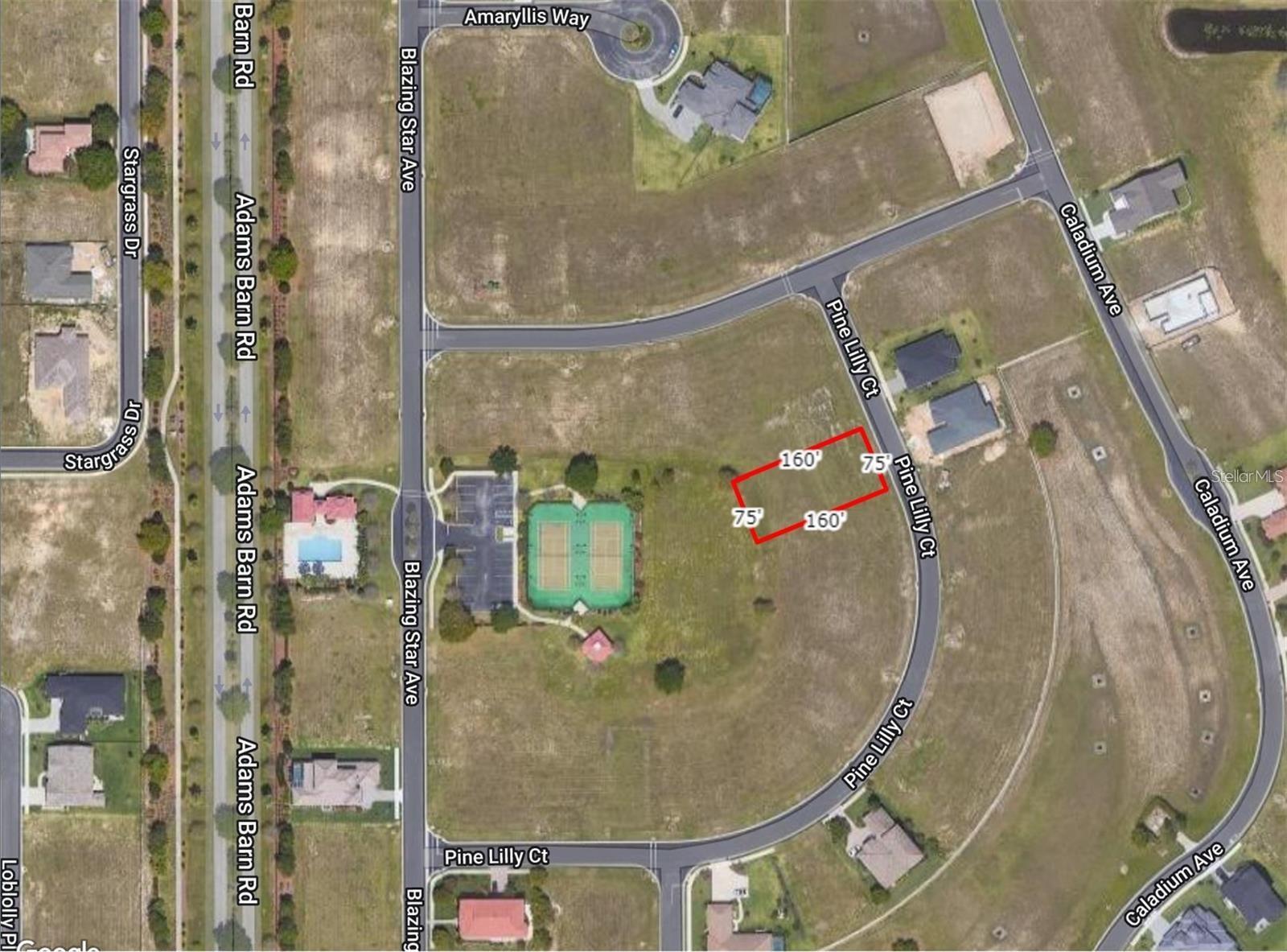 253 PINE LILLY COURT