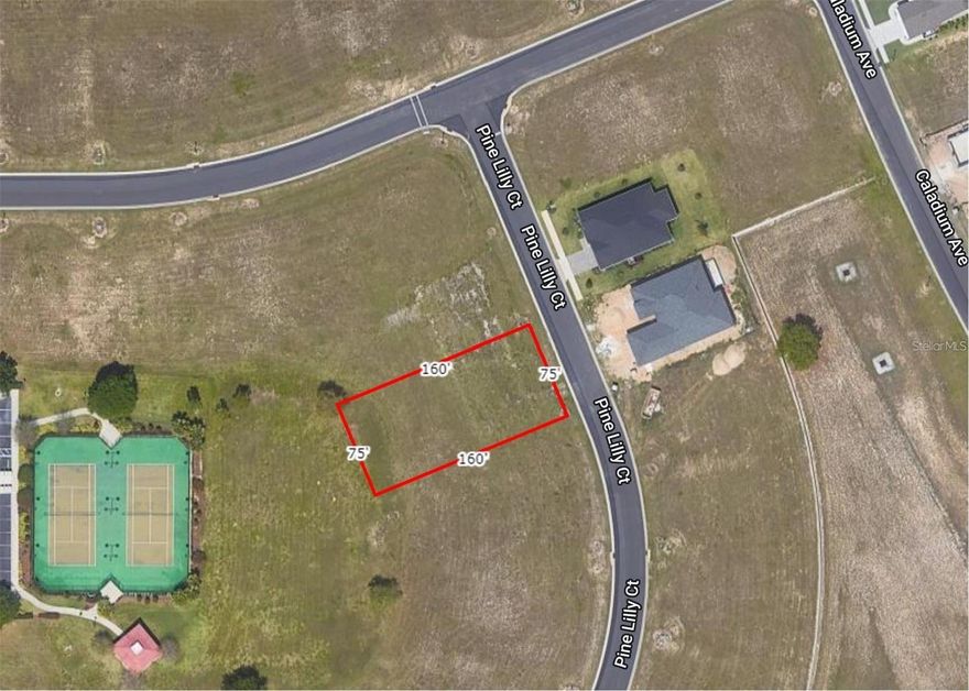 Discover a prime land opportunity in Lake Alfred’s distinguished Water Ridge Community. Situated between Lake Van, Lake Alfred, and Lake Medora, this plot offers both scenic lake vistas and unmatched privacy with no direct backyard neighbors. Water Ridge stands out for its array of resident amenities: from a modern clubhouse, multiple swimming pools, and a top-tier gym with sauna to tennis courts and RV storage. Boating enthusiasts will appreciate the on-site boat ramp for easy lake access. An added perk is the flexibility this parcel offers. With no strict timeline to commence construction and the freedom to select your own builder, you can ensure your dream home is executed to perfection. If you prioritize location, amenities, and flexibility, this land in Water Ridge checks all the boxes.