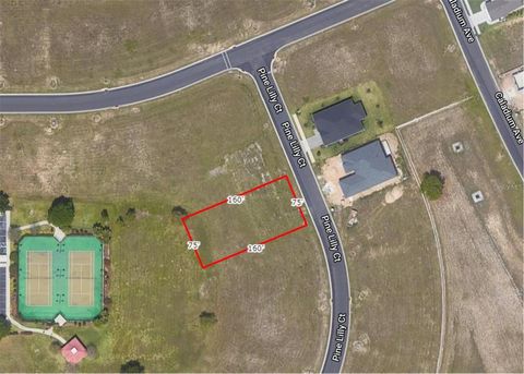 253 PINE LILLY COURT LAKE ALFRED FL 33850