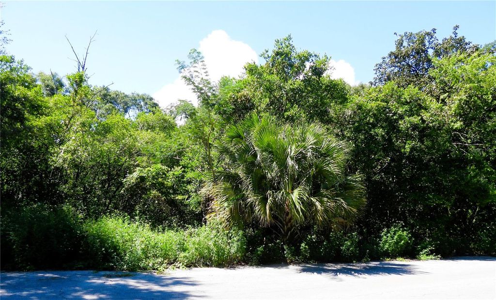 Photo of 130th Place, Ocklawaha, FL 32179 (MLS # OM708993)