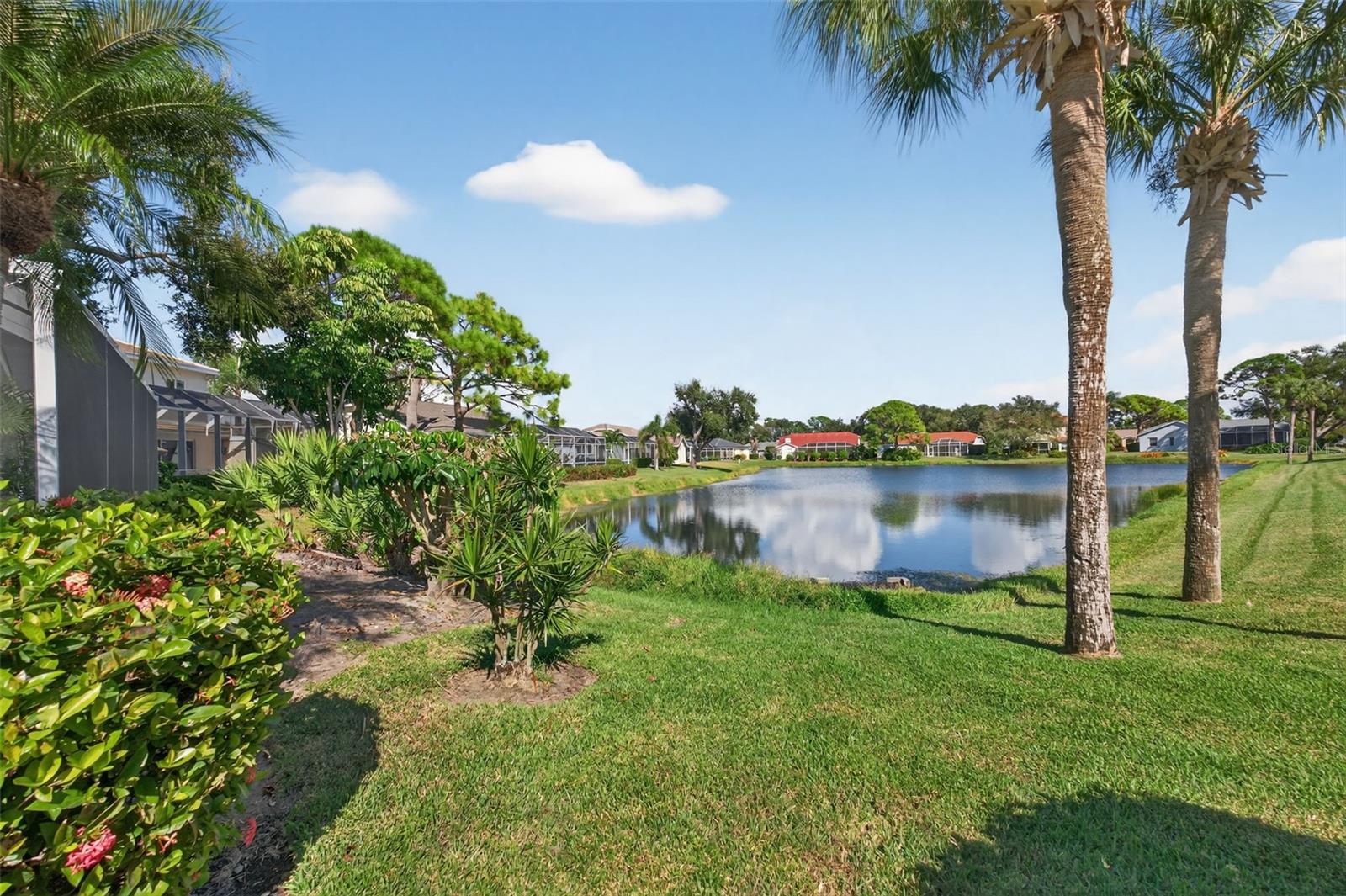 STONEYBROOK AT PALMER RANCH - Residential
