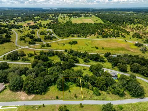 3642 RIDGE RUN DRIVE MINNEOLA FL 34715