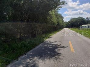 8.2 acres inside city limits and 3 miles to the ocean. 4.2 acres is upland and the rest is wetland. Wetlands still have limited usage for animals etc. Just cannot build on wetlands without mitigation. Parcel can be easily divided into two parcels without a variance. Zoning is agricultural estate. Water and sewer are next door. Perfect for a horse farm. There is a large pole barn with electricity. The flood zone is X. 3 minutes to shopping, banking and restaurants. 6 minutes to the ocean!!!!!