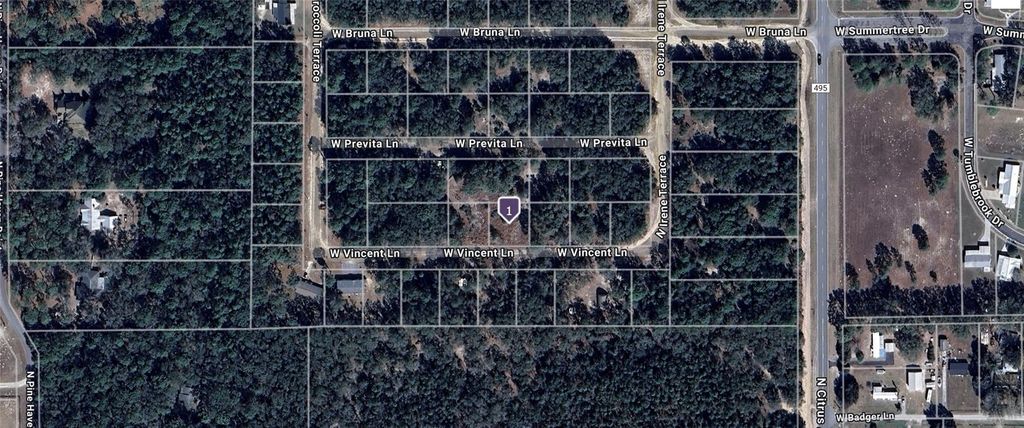 Photo of 8159 W Vincent Lane, Crystal River, FL 34428 (MLS # OM711593)