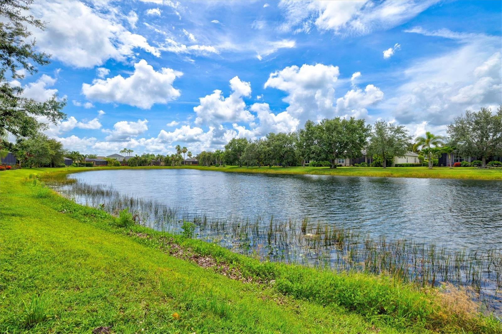 CENTRAL PARK SUBPHASE B-2A & B-2C - Residential