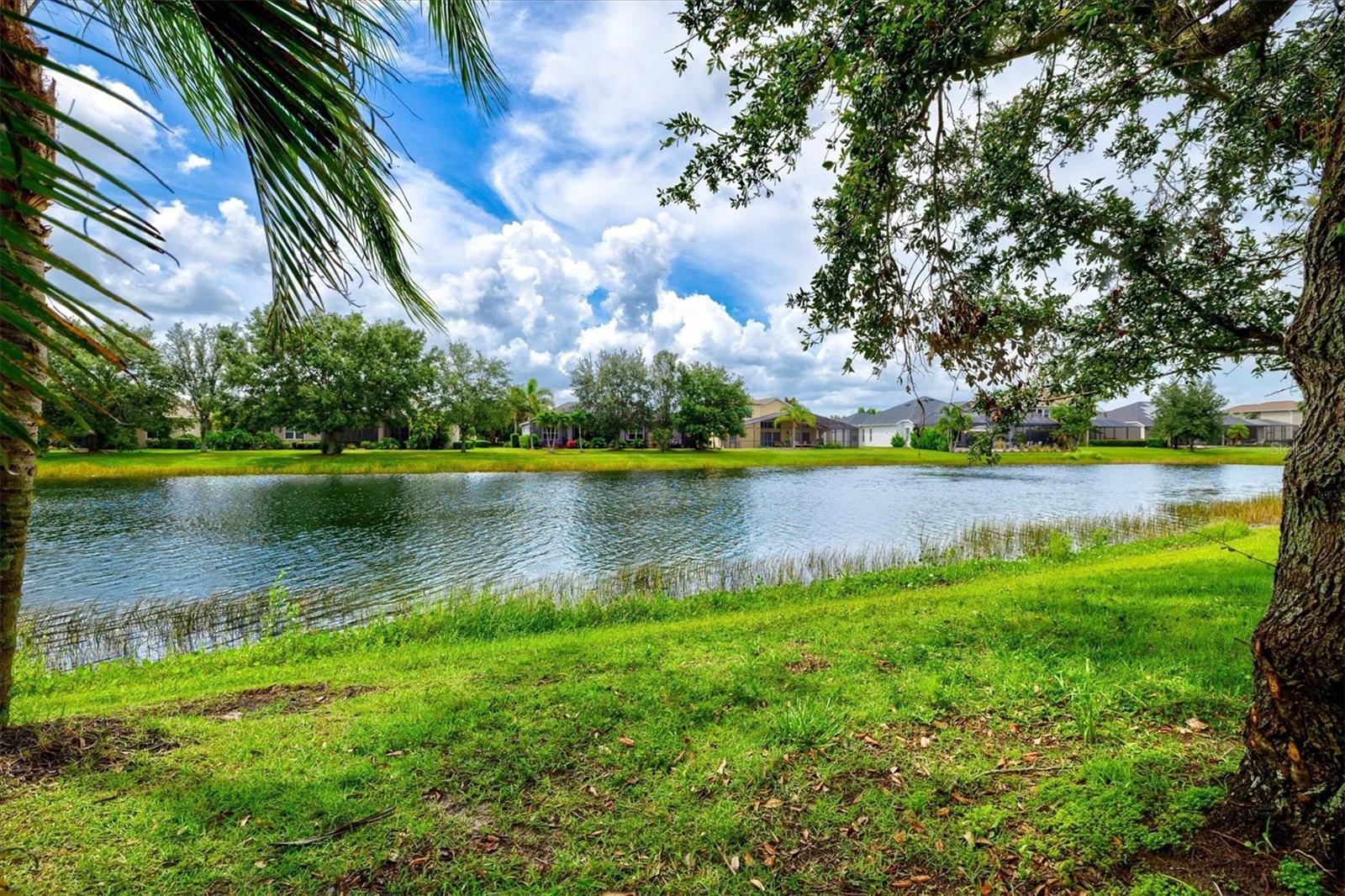 CENTRAL PARK SUBPHASE B-2A & B-2C - Residential