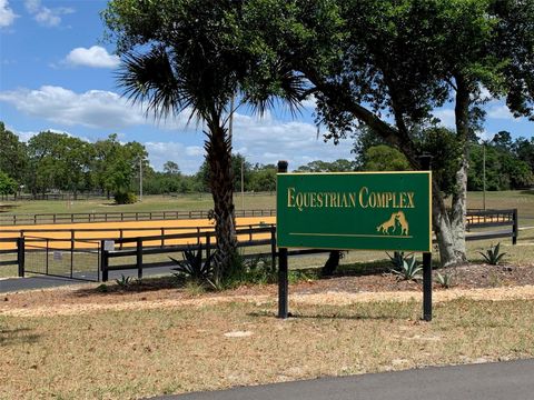 Tiny photo for 3155 W Brazilnut Road, Beverly Hills, FL 34465 (MLS # OM713430)