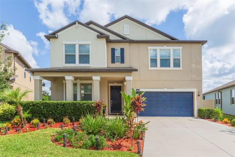 A home in LAND O LAKES